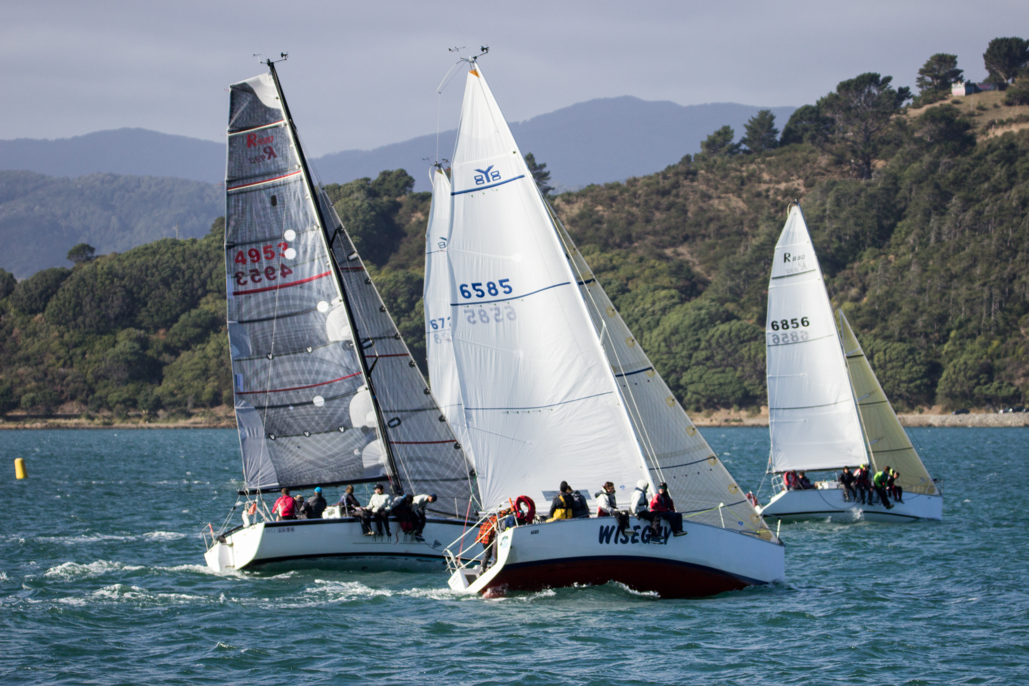 Race and series results – Royal Port Nicholson Yacht Club
